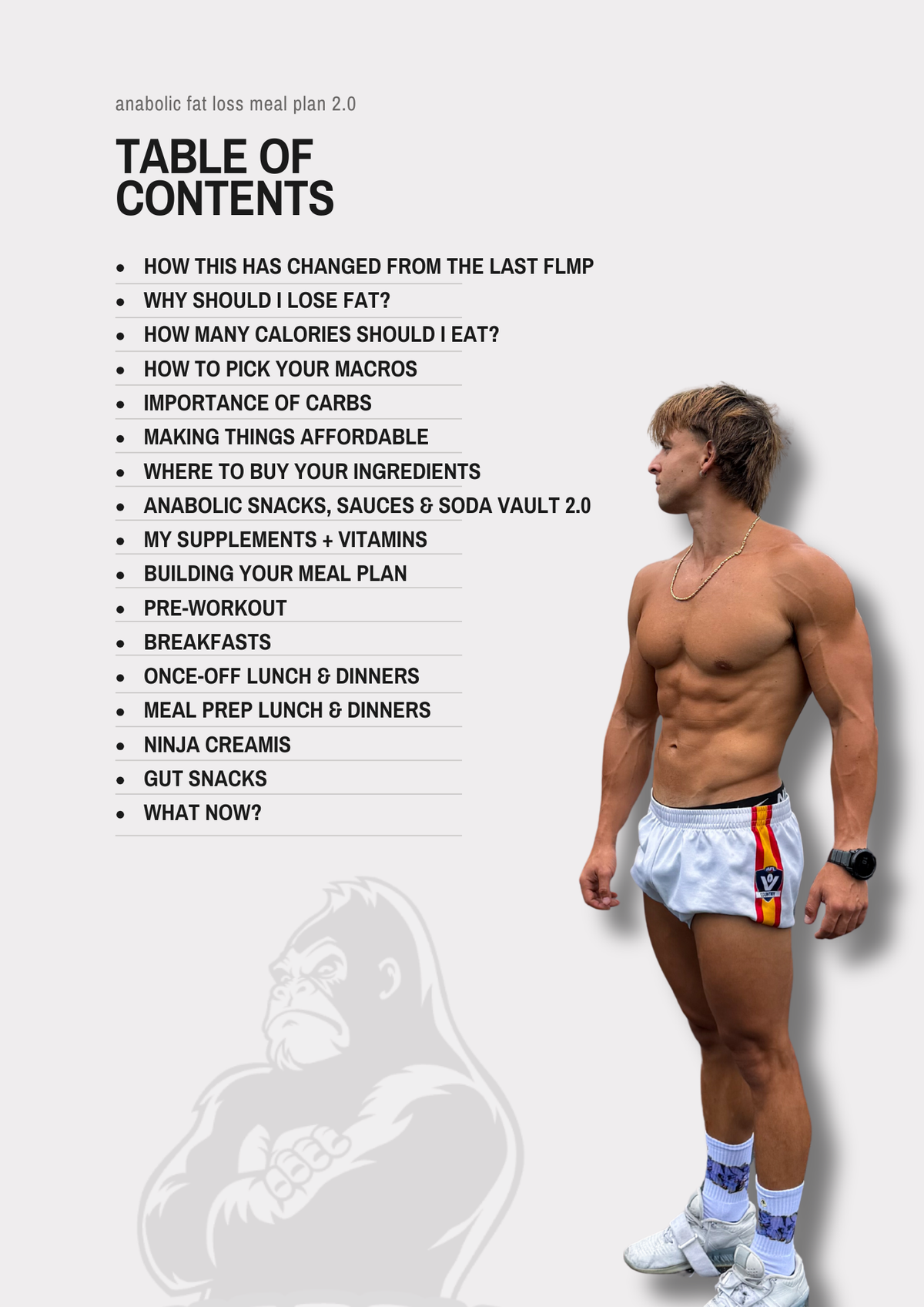 Anabolic Fat Loss Meal Plan 2.0